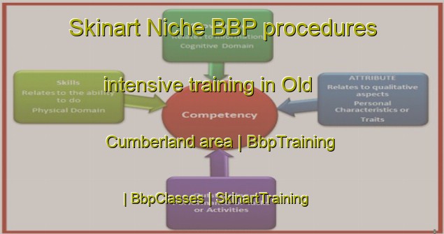 Skinart Niche BBP procedures intensive training in Old Cumberland area | BbpTraining | BbpClasses | SkinartTraining-United States